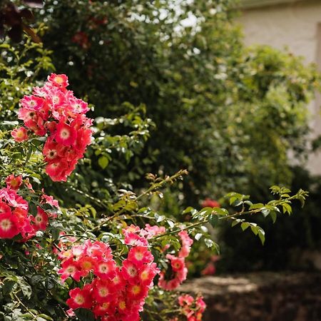 Stoodleigh Court Coach House Bed & Breakfast Tiverton  Bagian luar foto