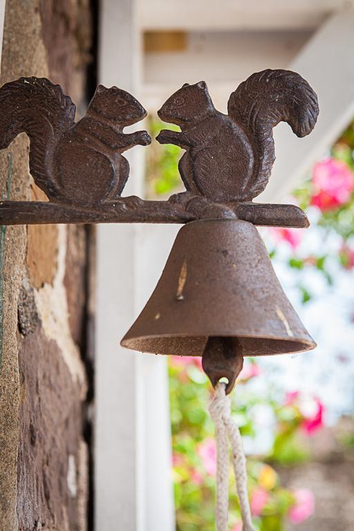 Stoodleigh Court Coach House Bed & Breakfast Tiverton  Bagian luar foto