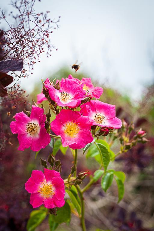 Stoodleigh Court Coach House Bed & Breakfast Tiverton  Bagian luar foto